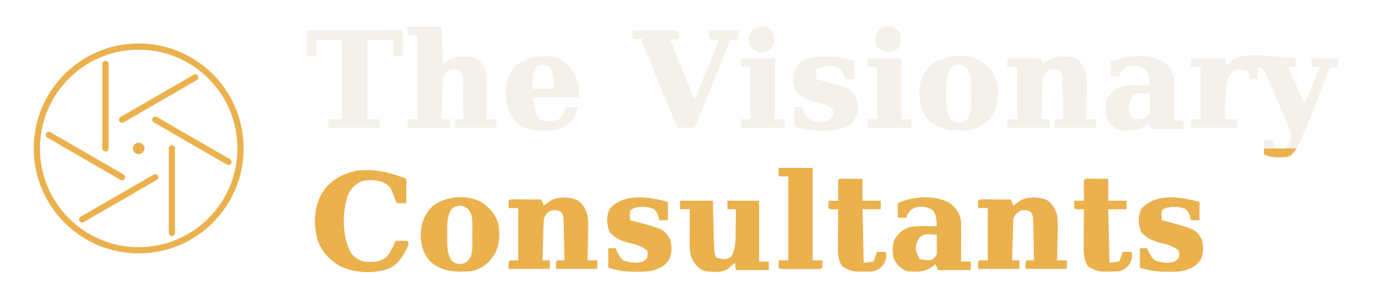 The Visionary Consultants